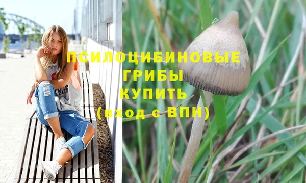 ALPHA PVP Арсеньев