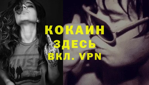 шишки Аркадак