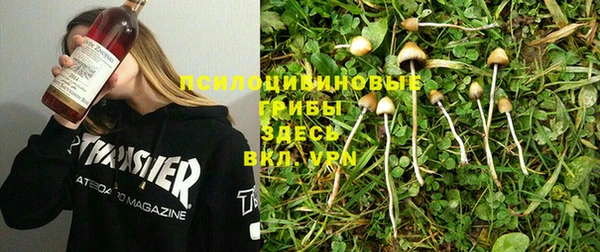 ПСИЛОЦИБИНОВЫЕ ГРИБЫ Баксан